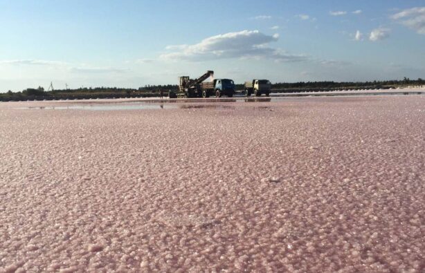Розовые озера на Херсонщине