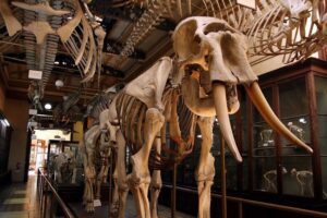 Google запустив 3D-екскурсії найкращими музеями світу