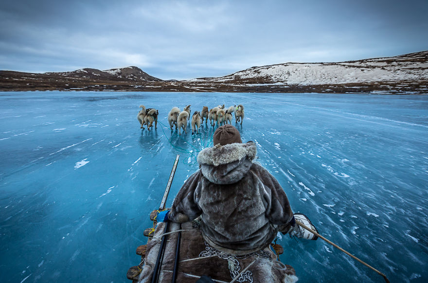 20 интересных фактов о Гренландии.Вокруг Света. Украина