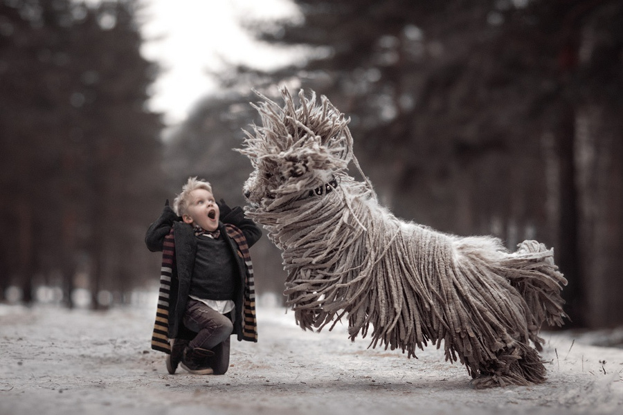 Необычные породы собак.Вокруг Света. Украина