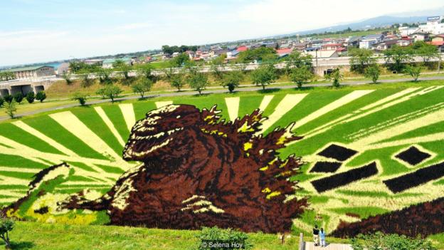 Японцы выращивают 3D-картины на рисовых полях.Вокруг Света. Украина