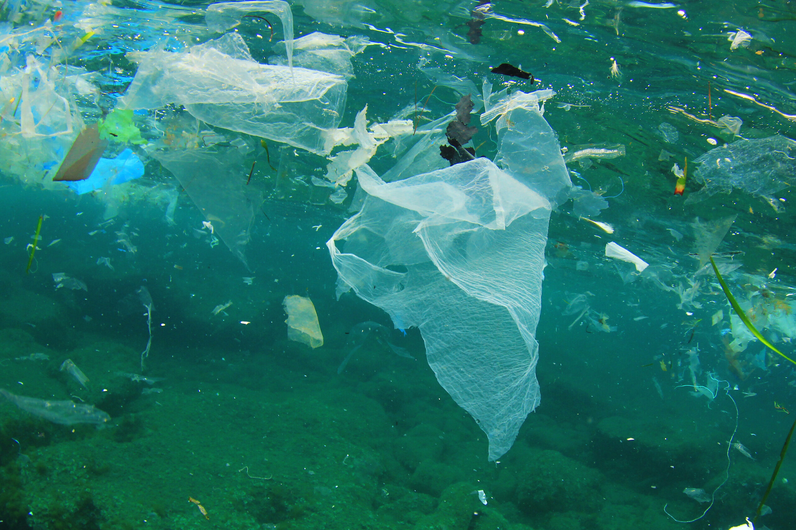 За спасение океана от пластикового мусора взялась ООН.Вокруг Света. Украина