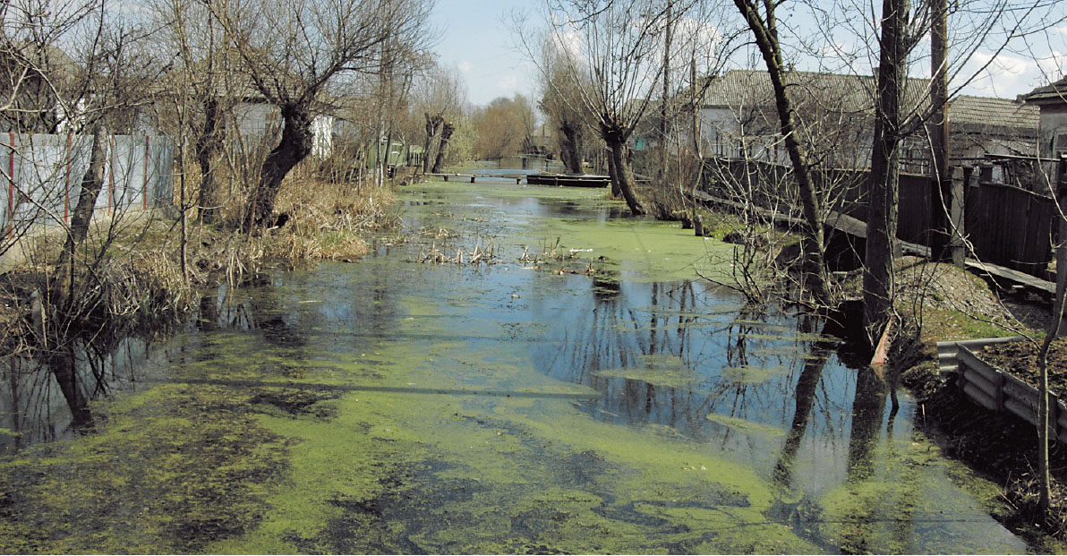 Вилково  - украинский городок, где живут пеликаны и люди перемещаются на лодках.Вокруг Света. Украина