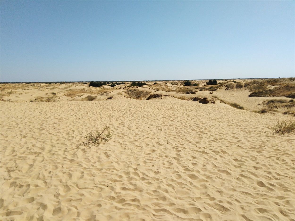Пустыня в Украине: Олешковские пески.Вокруг Света. Украина