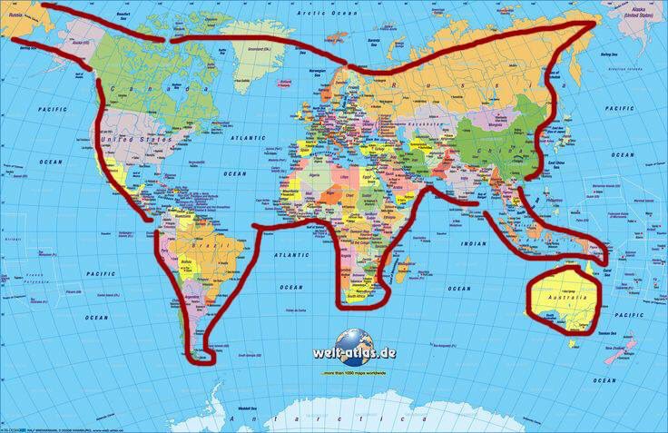Карта мира в форме котенка
