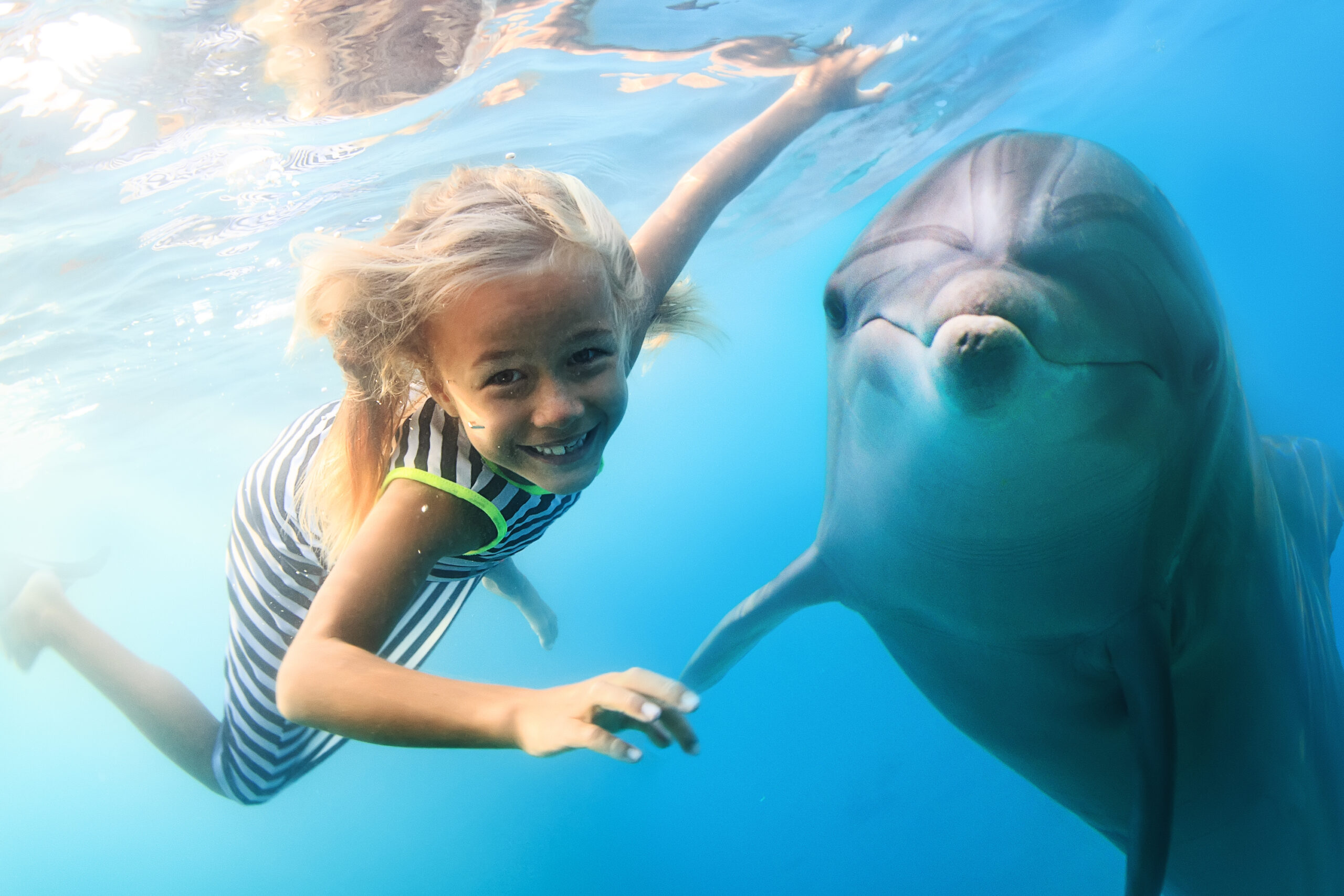 Скоро люди смогут «поговорить» с дельфинами.Вокруг Света. Украина