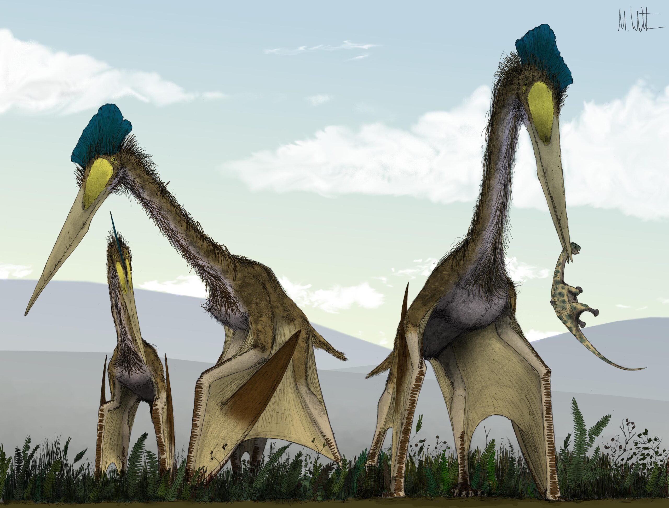 Не только птеродактили: палеонтологи выяснили, кому из птерозавров принадлежала загадочная кость.Вокруг Света. Украина