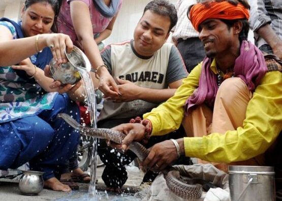 С коброй на шее: как индийцы празднуют фестиваль змей