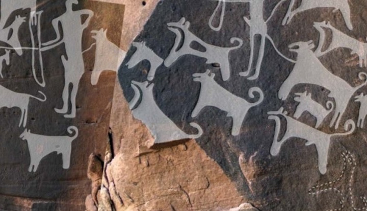 В Саудовской Аравии нашли древнейшие наскальные рисунки домашнего пса.Вокруг Света. Украина