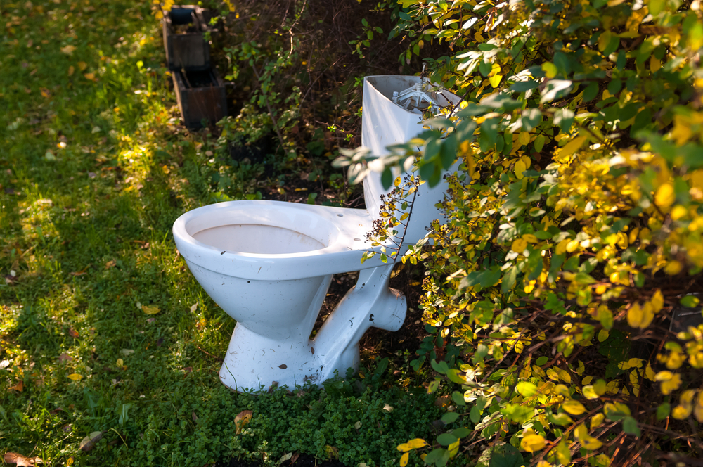 Сегодня — Всемирный день туалета.Вокруг Света. Украина
