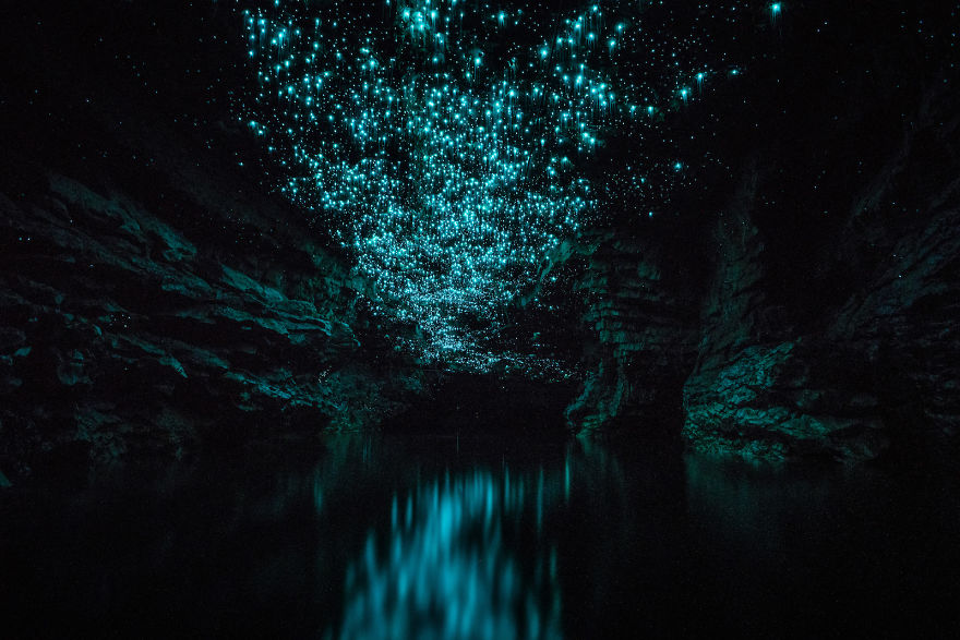 Пещеры звезд: дайвер-фотограф побывал в светящихся подземельях Новой Зеландии.Вокруг Света. Украина