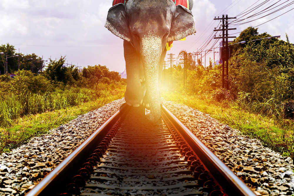 В Индии поезд сбил насмерть пять слонов.Вокруг Света. Украина