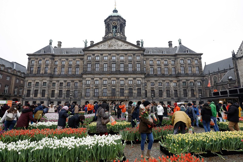 В День тюльпанов в Амстердаме раздали 200 тысяч цветов