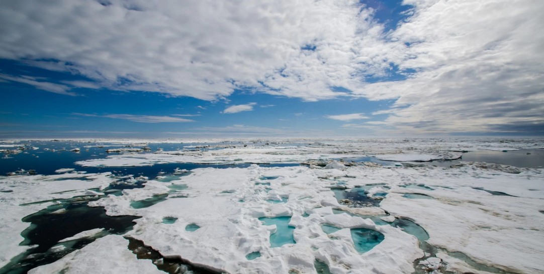 В Арктике установилась самая теплая зима за 60 лет.Вокруг Света. Украина