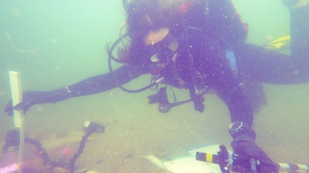 В Мексиканском заливе обнаружили подводное кладбище, которому 7000 лет.Вокруг Света. Украина