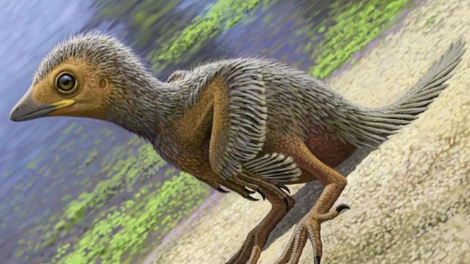 Палеонтологи обнаружили птенца первой птицы на Земле.Вокруг Света. Украина