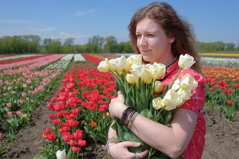 На Буковине стартовал фестиваль тюльпанов