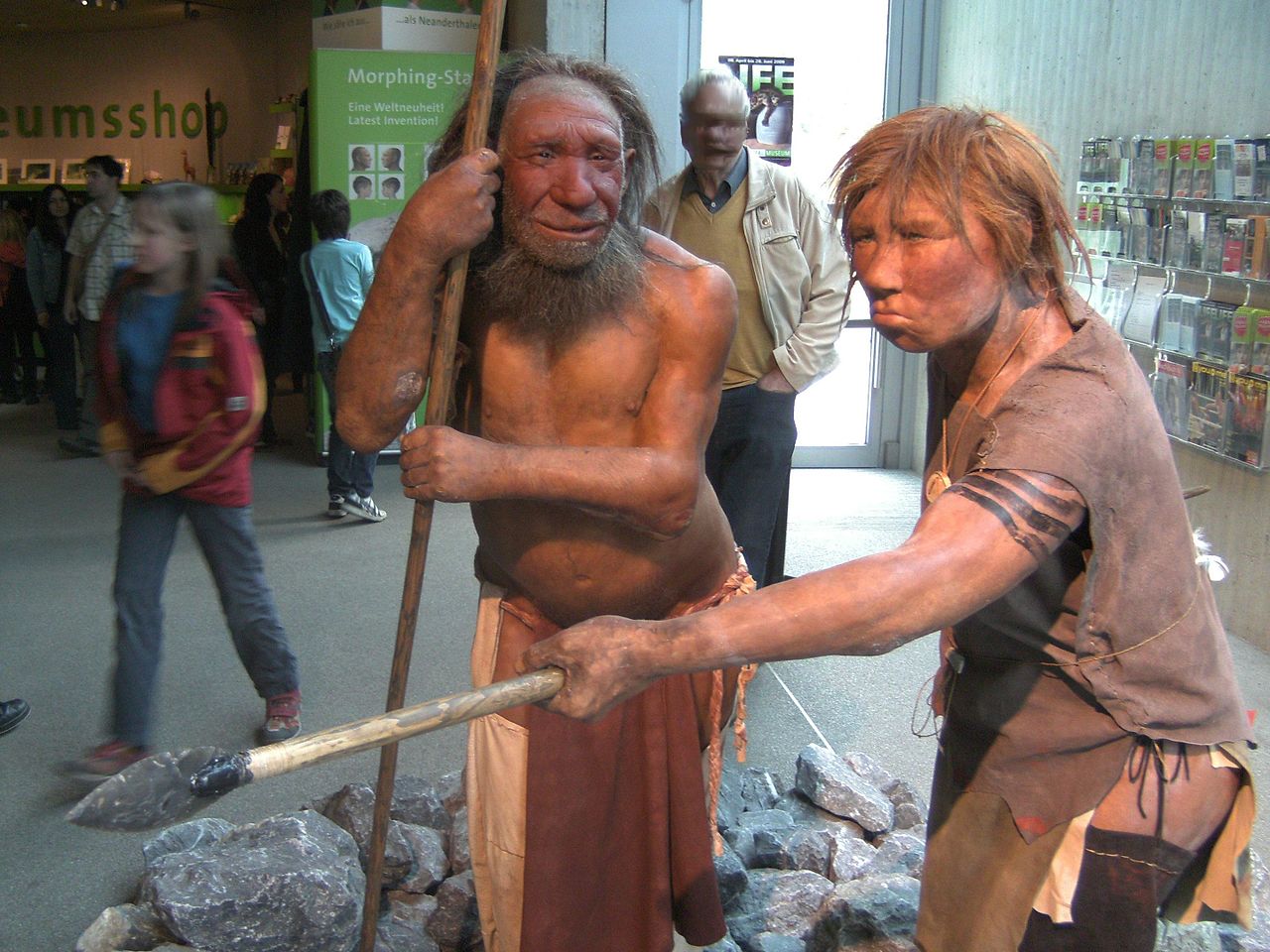 Почему неандертальцы такие несимпатичные.Вокруг Света. Украина