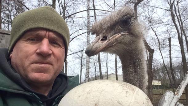 В Межигорье «страусы Януковича» снесли яйцо.Вокруг Света. Украина