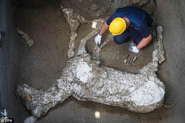 В Помпеях впервые нашли коня. Благодаря черным археологам.Вокруг Света. Украина