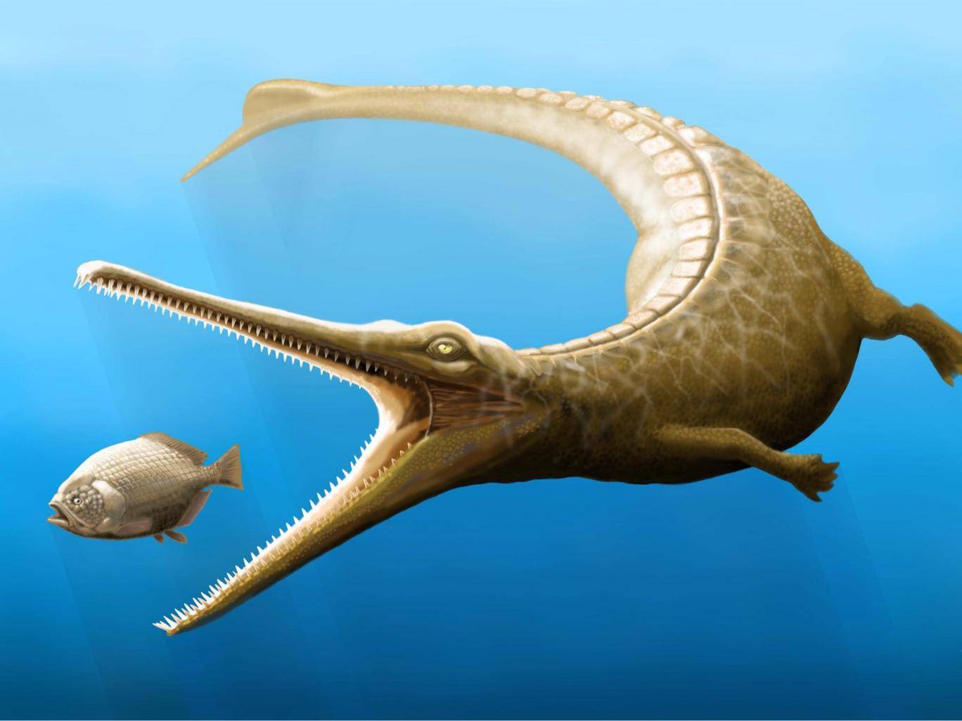 Доисторические крокодилы имели дельфиний хвост.Вокруг Света. Украина