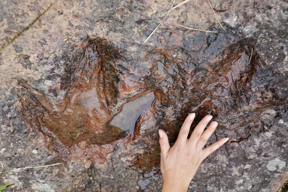 Туристы в Юте разрушили Тропу динозавров, развлекаясь швырянием камней в воду.Вокруг Света. Украина