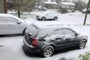 Канаду неожиданно засыпало снегом