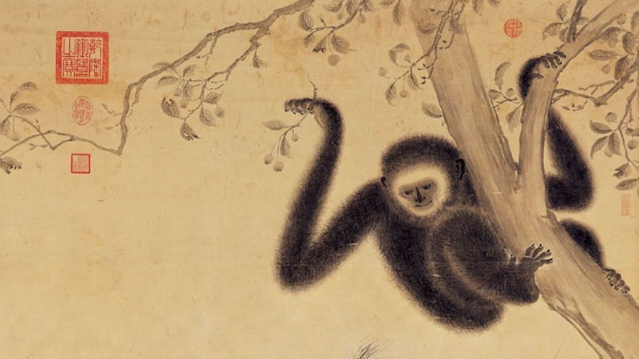 В императорской гробнице Китая нашли неизвестный вид обезьян.Вокруг Света. Украина