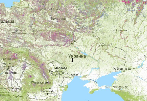 Гринпис продемонстрировала масштабы уничтожения лесов в мире.Вокруг Света. Украина