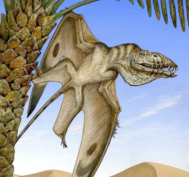 Древнейшего птерозавра, клыкастого и зобастого, обнаружили в Юте.Вокруг Света. Украина