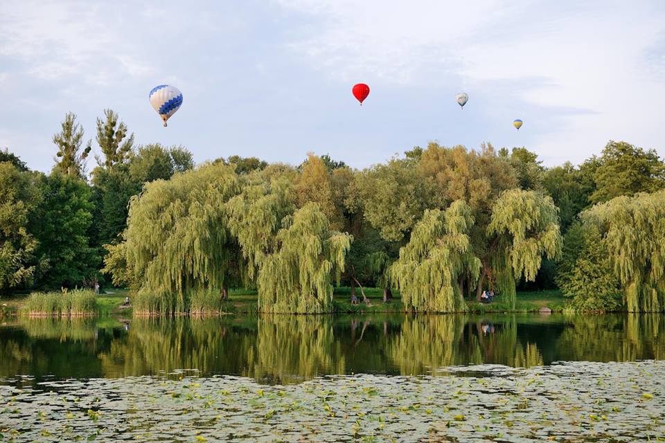 Фестиваль воздушных шаров в парке 