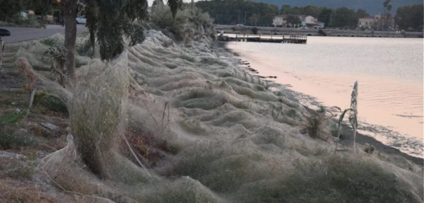 На греческом побережье нашли 300-метровую паутину.Вокруг Света. Украина