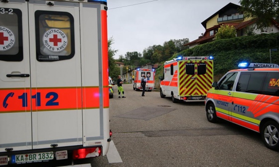 В Германии на гостей фестиваля напали шершни: в больнице 13 человек.Вокруг Света. Украина