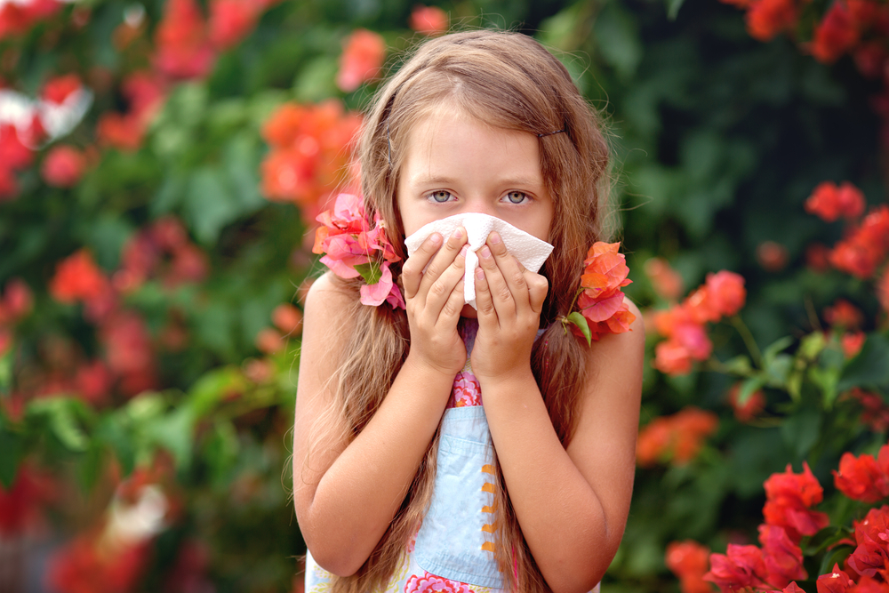 Дети, рожденные в сезон пыльцы, предрасположены к астме.Вокруг Света. Украина