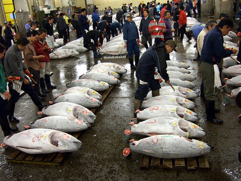 В Токио закрылся крупнейший в мире рыбный рынок.Вокруг Света. Украина