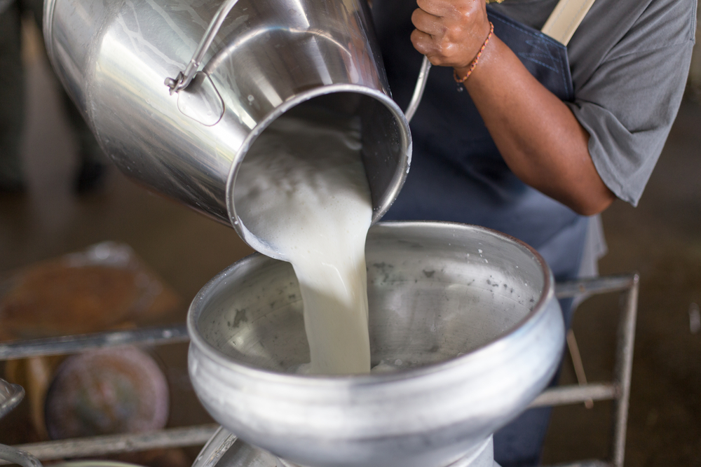 ТОП-10 фактов о молоке и масле