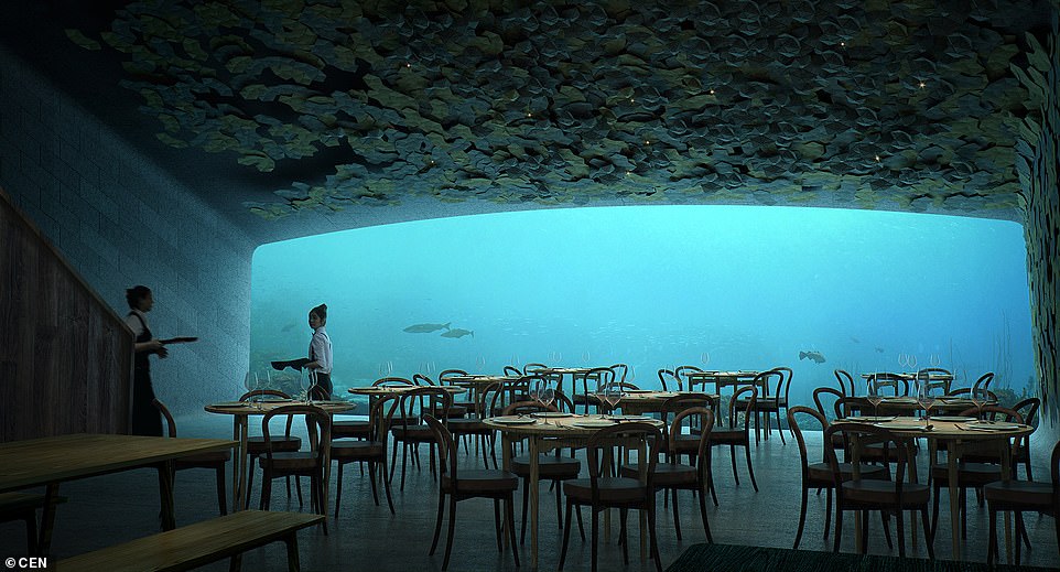 В первом подводном ресторане Европы столики забронированы на полгода вперед.Вокруг Света. Украина