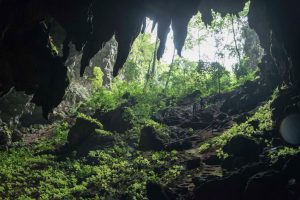 Тайская пещера, в которой летом застряли футболисты, привлекла туристов