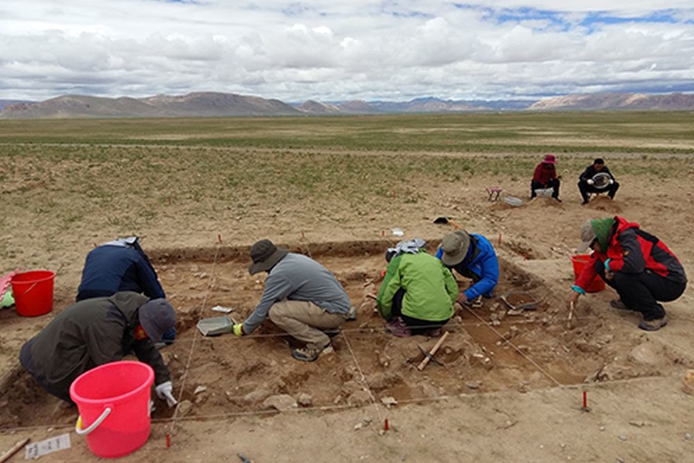 В Тибете открыли самую высокогорную палеолитическую стоянку