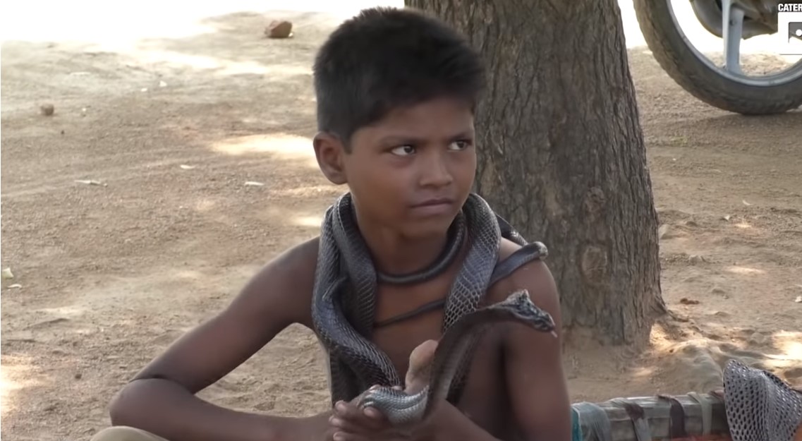В Индии мальчик дружит с кобрами.Вокруг Света. Украина