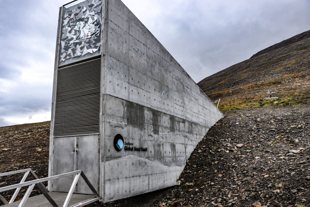 Треть погибнет: зернохранилище на Шпицбергене не может спасти все растения