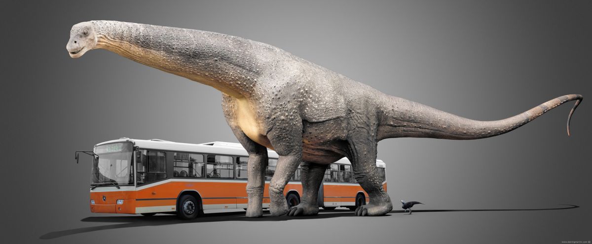 ТОП-10 самых маленьких и самых больших динозавров.Вокруг Света. Украина