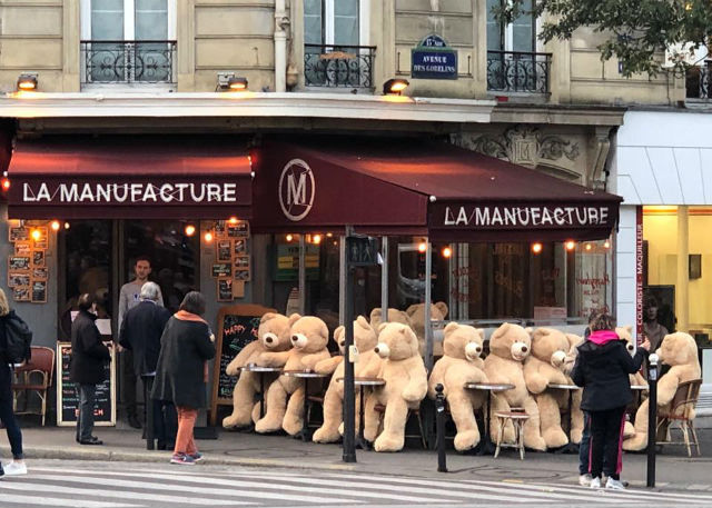 В окрестностях Парижа замечены десятки медведей