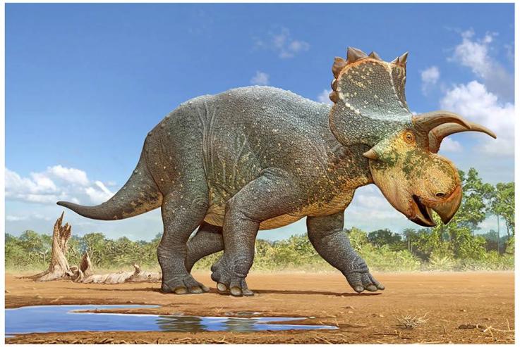 В Аризоне обнаружили новый вид рогатого динозавра.Вокруг Света. Украина