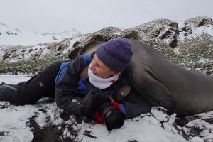 В Антарктиде фотографа «завалило» тюленями
