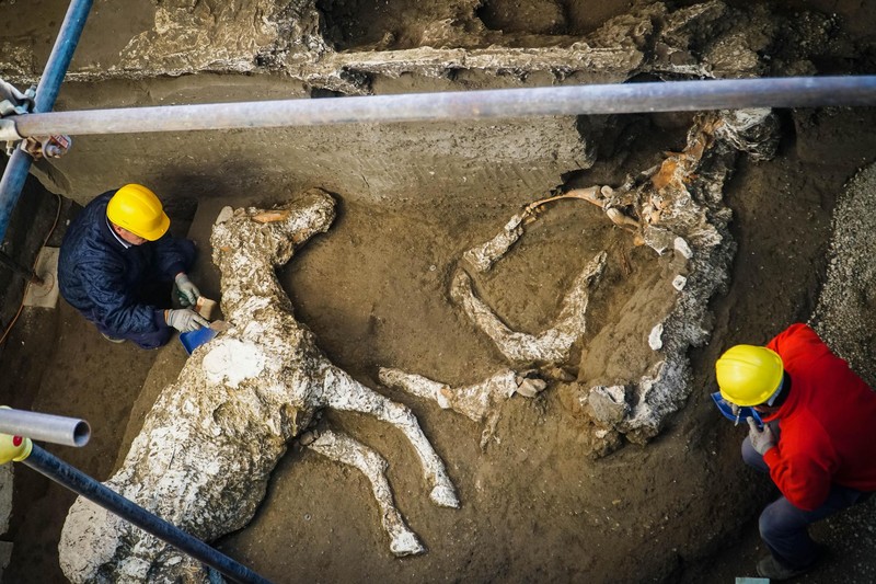 Археологи нашли в Помпеях еще одну офицерскую конюшню.Вокруг Света. Украина
