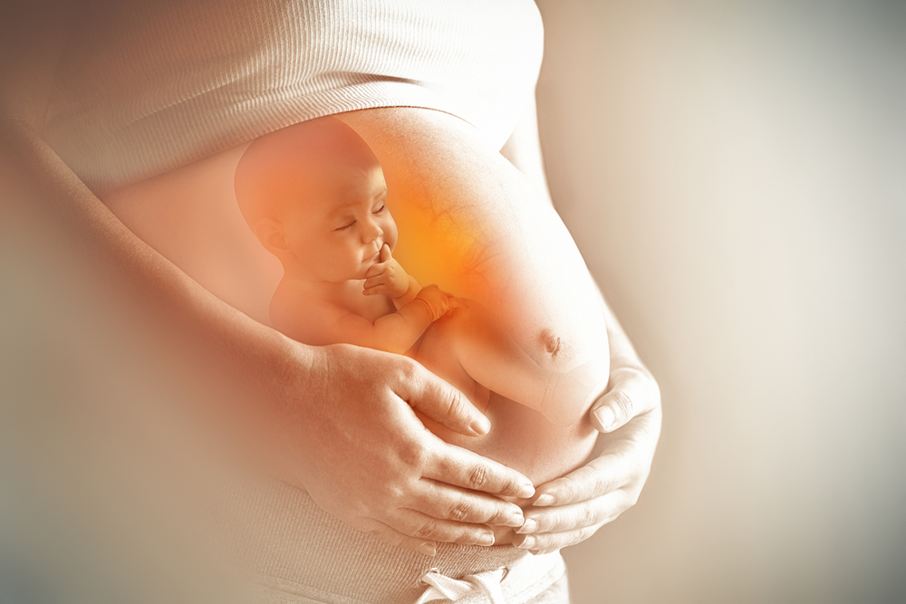 Почему ребенок активно шевелится в утробе матери.Вокруг Света. Украина