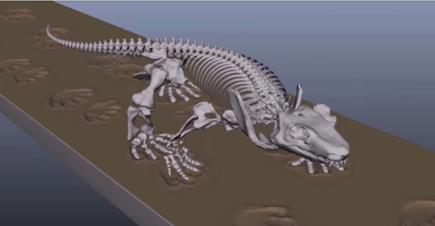 Ученые оживили скелет ящера возрастом 290 миллионов лет