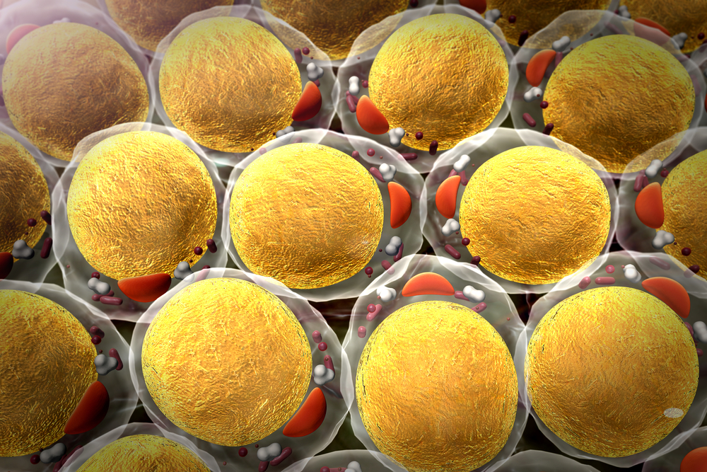 Ученые превратили раковые клетки в жировые и остановили их рост