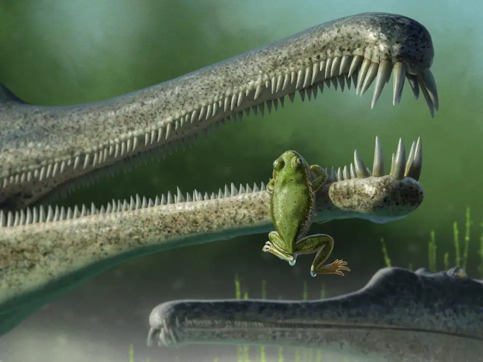 В Аризоне обнаружили древнейшую лягушку Америки